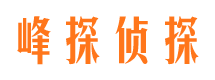 高州市侦探调查公司